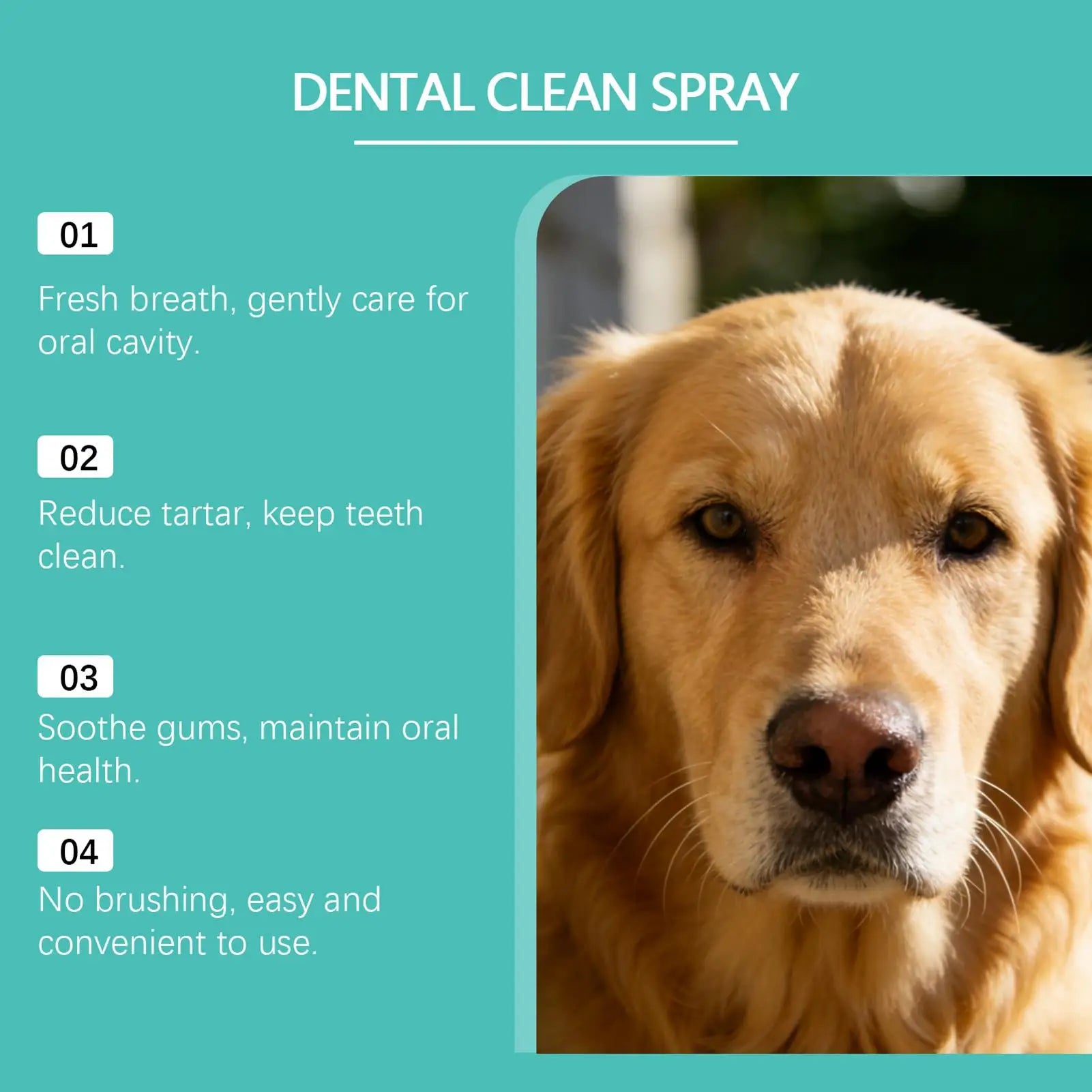 DentaPaw™